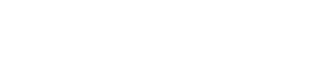 Swiz Shield